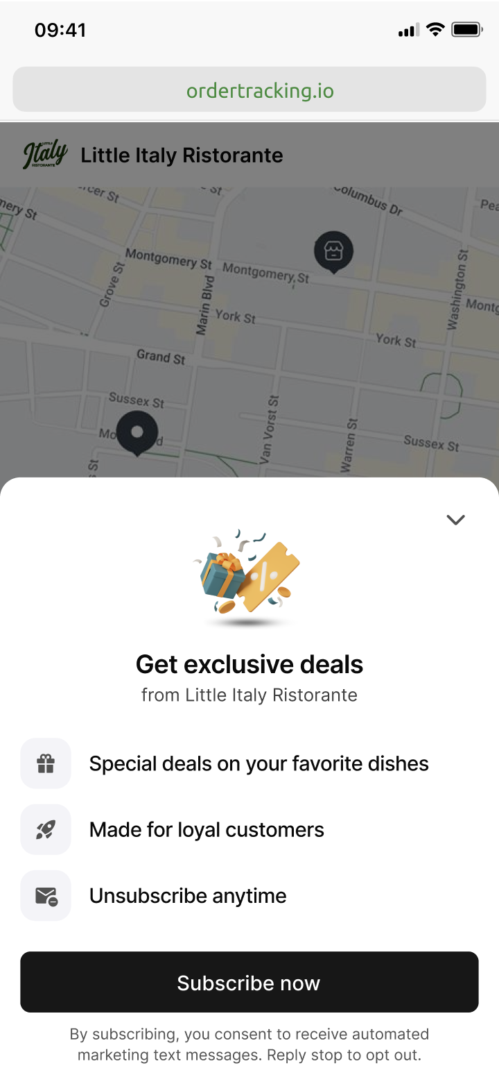 Campaign display format preview